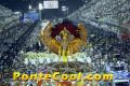 Carnaval 2013 Rio de Janeiro Brasil