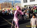 Corso de las Flores y la Alegria Ambato 2009