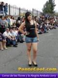Corso de las Flores y la Alegria 2013 Ambato