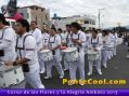 Corso de las Flores y la Alegria 2013 Ambato
