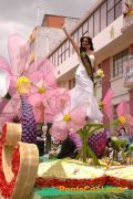 Desfile de la Fiesta de las Flores y las Frutas Ambato 2011
