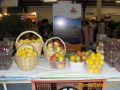 Expo Ambato 2011