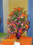Exposición Floral Ruta de las Flores Ambato 2012