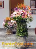 Exposición Floral Ruta de las Flores Ambato 2012