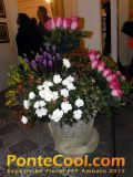 Exposición Floral Ruta de las Flores Ambato 2012