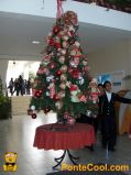 Navidad 2010 Colegio Indoamerica Ambato