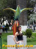 Exposición de Quindes Parque 12 Noviembre Ambato 2012