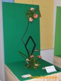 Exposición Floral Creación Divina 2011