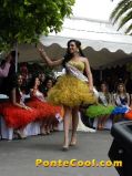 Serenata a las candidatas a Reina de Ambato 2013