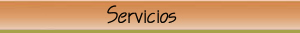 Servicios Cool